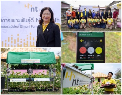 NT ชูนวัตกรรมดิจิทัลหนุนเกษตรสมัยใหม่ Smart Framing