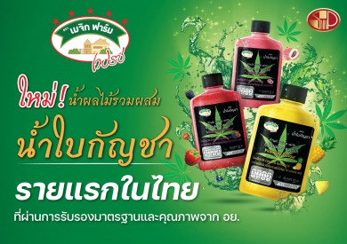 SNNP เขย่าตลาดเครื่องดื่ม เปิดตัว “เมจิก ฟาร์ม เฟรช น้ำผลไม้รวมผสมน้ำใบกัญชา” รายแรกของไทย