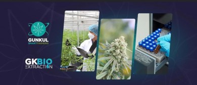 GUNKUL ขานรับ สธ.ปลดล็อกกัญชา-กัญชง พร้อมส่งออกช่อดอกลุยตลาดตปท.เสริมทัพแกร่ง