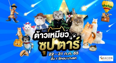 ทาสแมวต้องกรี๊ด!!! “ซีคอน บางแค” จัดงาน “ต้าวเหมียว ซุป’ตาร์”