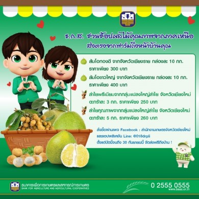 ธ.ก.ส. ชวนช้อปผลไม้สดคุณภาพดีจากภาคเหนือ พร้อมส่งฟรีถึงหน้าบ้าน