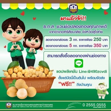 ธ.ก.ส. ชวนช้อปลองกองคุณภาพดีจากอำเภอศรีสัชนาลัย จังหวัดสุโขทัย