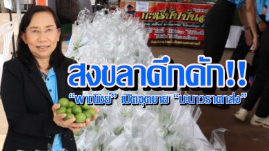 สงขลาคึกคัก!! “พาณิชย์” เปิดจุดขาย “มะนาวราคาส่ง”