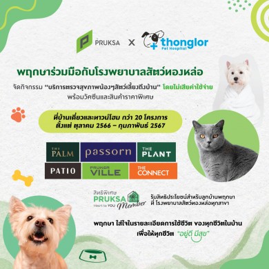‘พฤกษา’ จับมือ ‘โรงพยาบาลสัตว์ทองหล่อ’ มอบบริการตรวจสุขภาพสัตว์เลี้ยงถึงบ้านฟรี