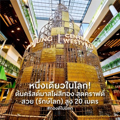 “ศูนย์การค้าเซ็นทรัลทั่วไทย” พร้อมใจ “ขิงต้นคริสต์มาส” แบบไม่ยอมกัน