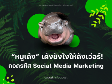“หมูเด้ง” เด้งยังไงให้ดังเว่อร์!ถอดรหัส Social Media Marketing
