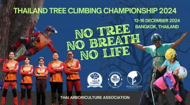 กทม.ชวนคนกรุงดูแลต้นไม้ใหญ่ในงาน Green Festival 2024 ระหว่างวันที่ 13–15 ธ.ค. 2567