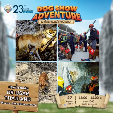 เปิดโลกผจญภัยของคนรักหมา! พบ 6 กิจกรรมสุดมันส์ที่ Dog Show 2025 เช็กอินความสนุก 26–29 มิ.ย. นี้ ณ ฮอลล์ 5–6 อิมแพ็ค เมืองทองธานี