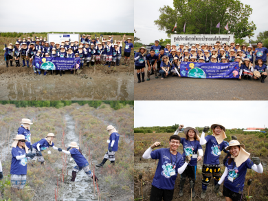 ซัมซุงประกันชีวิตเดินหน้าปลูกป่าชายเลนถาวรสานต่อโครงการ Green Global Project…We love Thailand ครั้งที่ 14