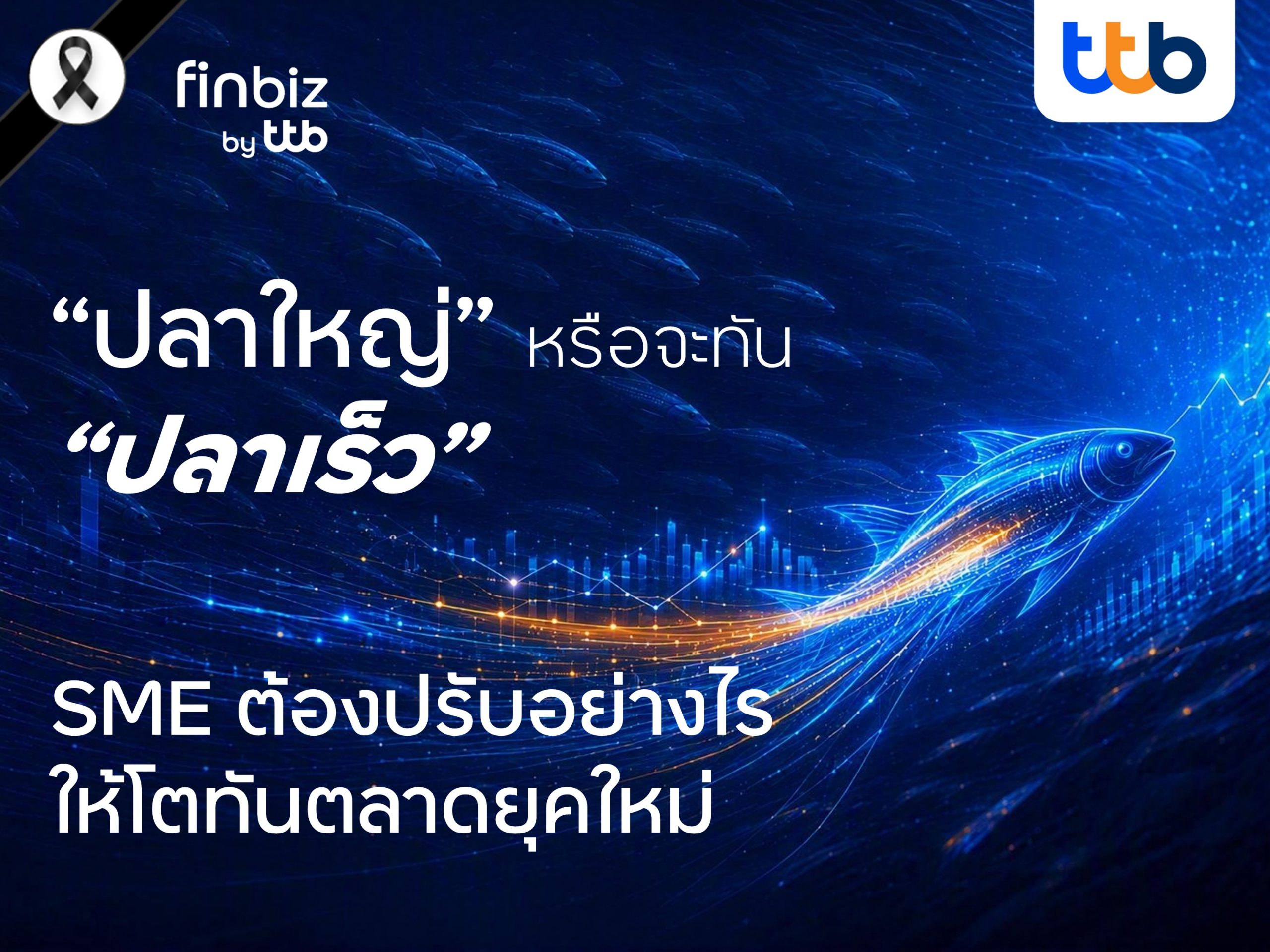 finbiz by ttb ชี้ SME ยุคใหม่ต้องเป็น “ปลาเร็ว” มากกว่า “ปลาใหญ่” เติบโตอย่างแข็งแกร่ง ในวันที่ตลาดเปลี่ยนเร็ว